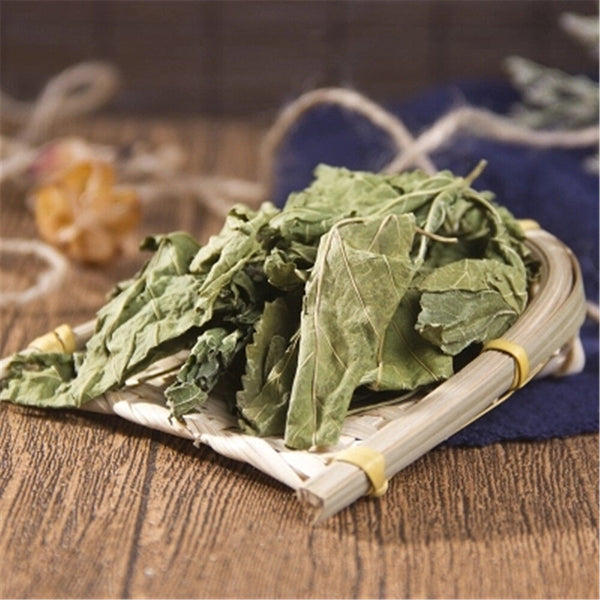 100% Natural Medicinal Chinese Herbs, Mulberry Loose Leaf, Dried Loose Leaf