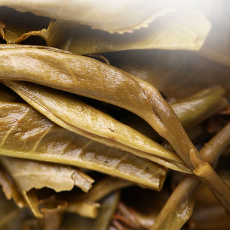 Haiwan Famous Mountain Aged Tree Raw Puer PaSha Gu Shu Old Pu'er Tea 500g
