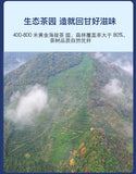 EFUTON Before Rain Dragon Well Green Tea Longjing Tea Organic Long Jing 250g Tin