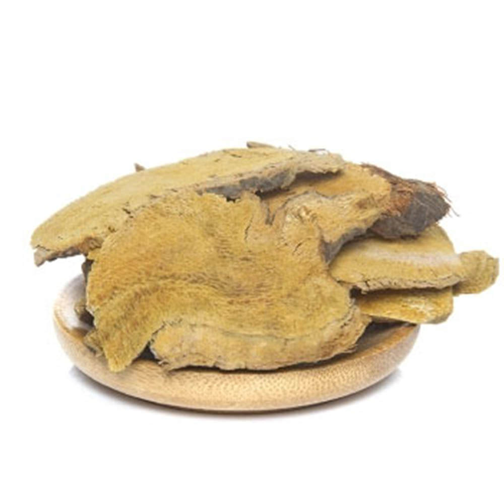 100%Natural Knotweed Fallopia Japonica Polygoni Cuspidati HuZhang Chinese Herbal Main image
