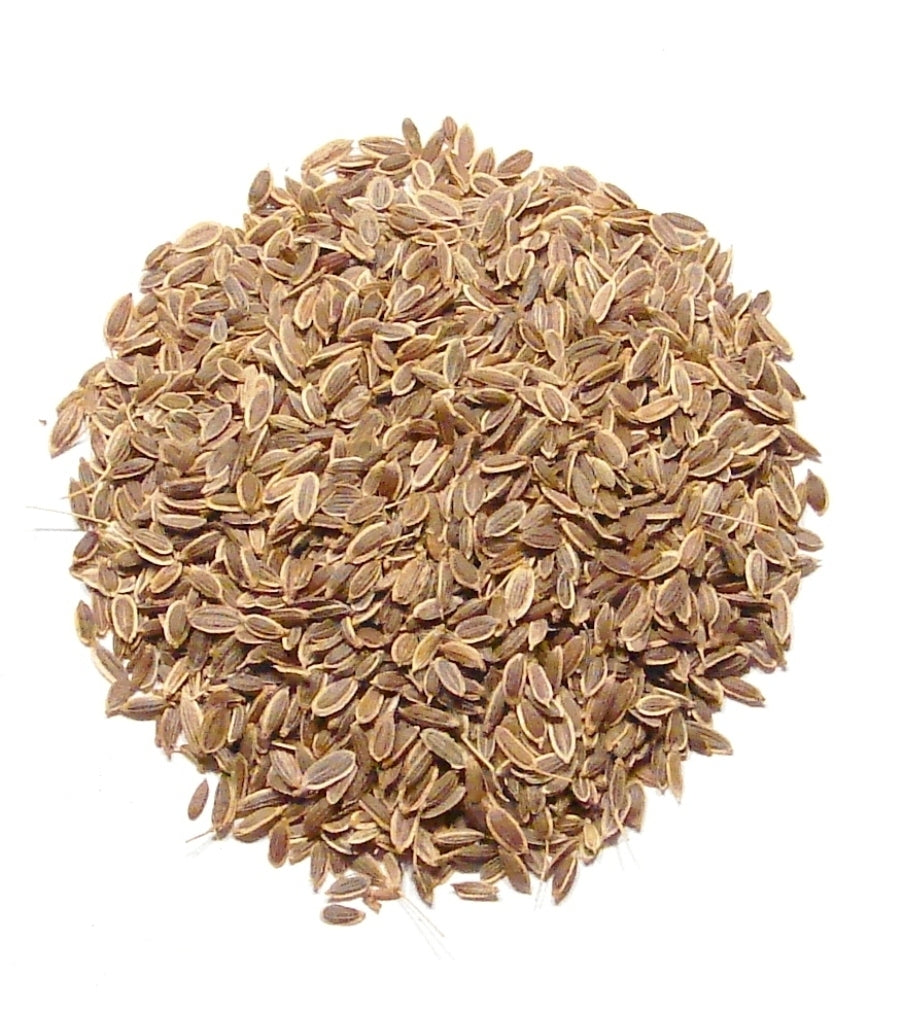 Whole Dill Seed - 1 lb - Bulk "Pickle Spice" Seasoning Main image