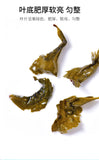 CLASSIC CHARCOAL ROASTED OOLONG TIEKUANYIN,CHINESE Famous Little Red Can 250g