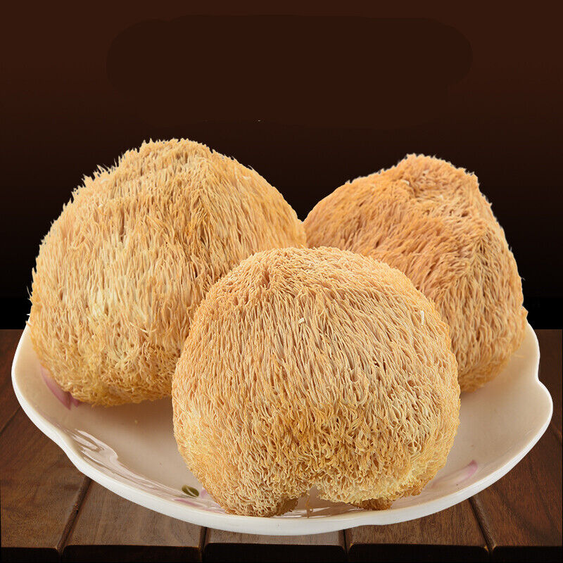50g~500g Premium Dried Lion's Mane Monkey Head Mushroom  Herbs Health Food