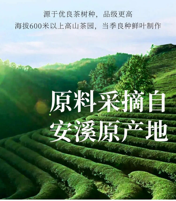 TenFu's TEA You Ran Fujian Tie Guan Yin Tieh Kwan Yin Oolong Tea 100g Tin