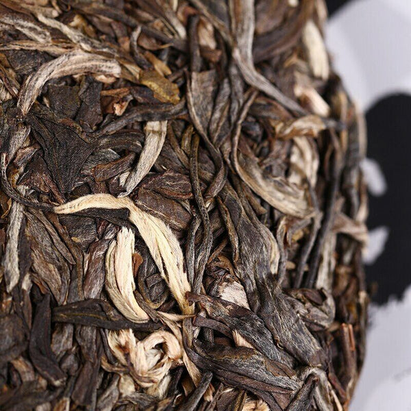Yunnan Aged Tree Old Comrade Sheng Puer Tea Haiwan Yun Hai Raw Puer 400g