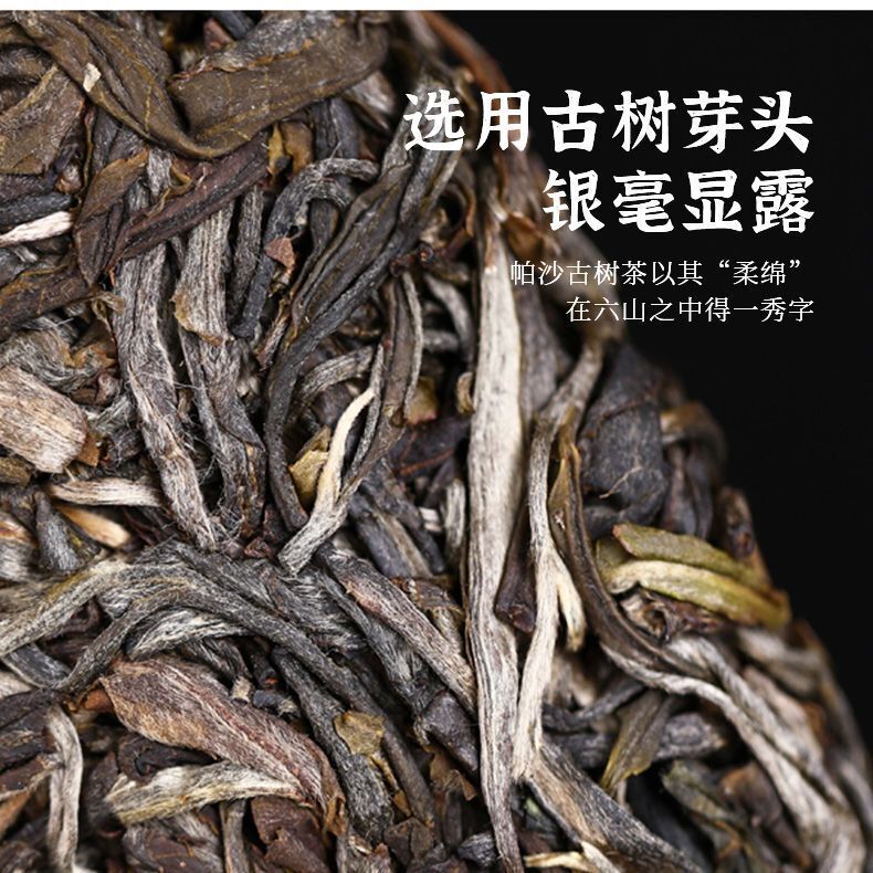 Haiwan Famous Mountain Aged Tree Raw Puer PaSha Gu Shu Old Pu'er Tea 500g