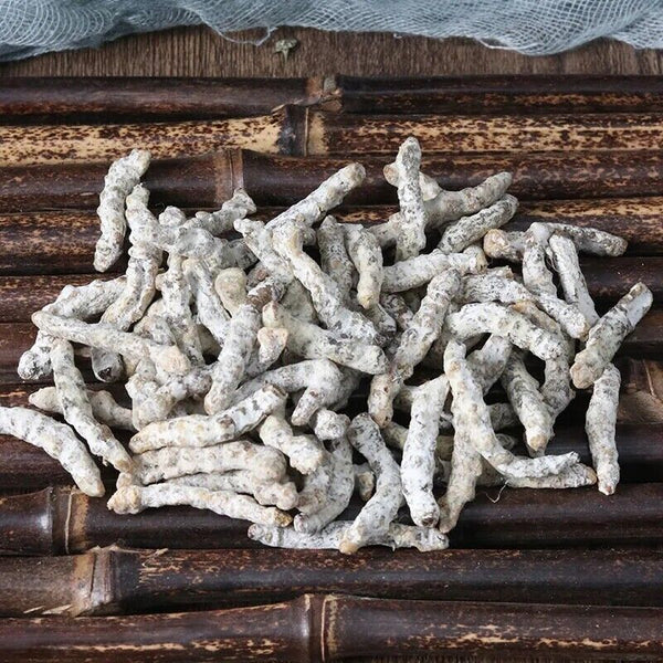 Bai Jiang Can,Bombyx Batryticatus Silkworm Larva Bombyx Mori Zhangkou Tianma