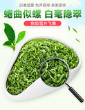 Spring Ming Qian Organic Fresh Suzhou Bi Luo Chun Green Tea Biluochun 250g
