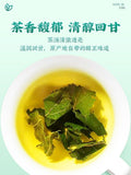 100g TongRenTang mulberry leaf tea 同仁堂桑叶茶100g/can 甄选原料 霜后桑叶 清香醇厚 可泡茶 代用茶 HOT
