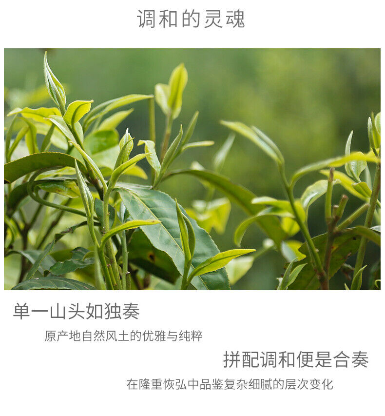 Haiwan "Liang Yuan Liang Yun" Premium Pu'er Tea Series Raw Pu-erh Tea 400g