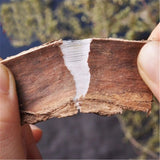 100% Natural Ocmia Bark / Dried Ocmia Cortez Bulk