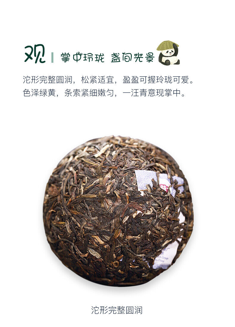 TAETEA Brand Panda Pu-erh Tea Tuo 100g Raw Menghai Dayi Pu'er Tuocha