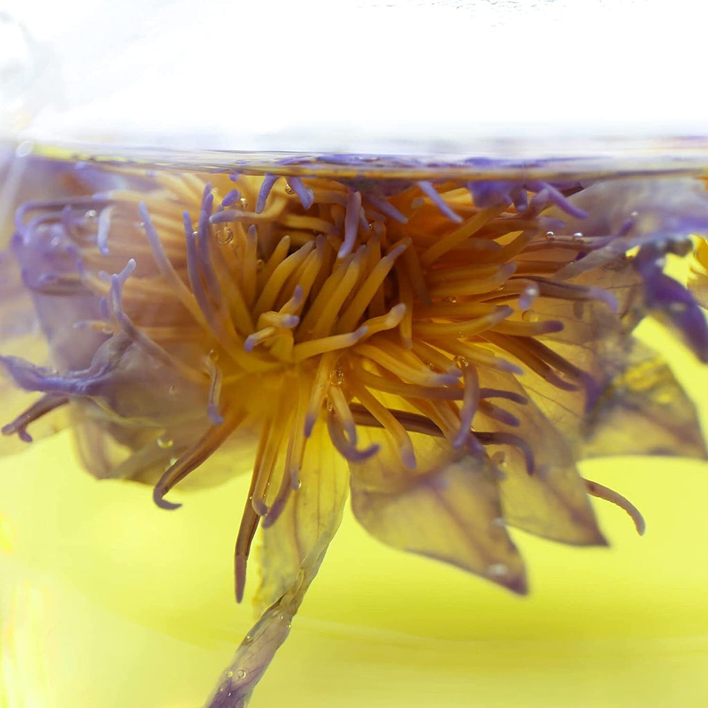 FullChea Premium Egyptian Whole Flower - 1oz/30g - Whole Flower Herbal Tea