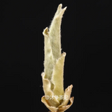 250g Raw Puer Tea, Yunnan White Bud Pu-erh Tea