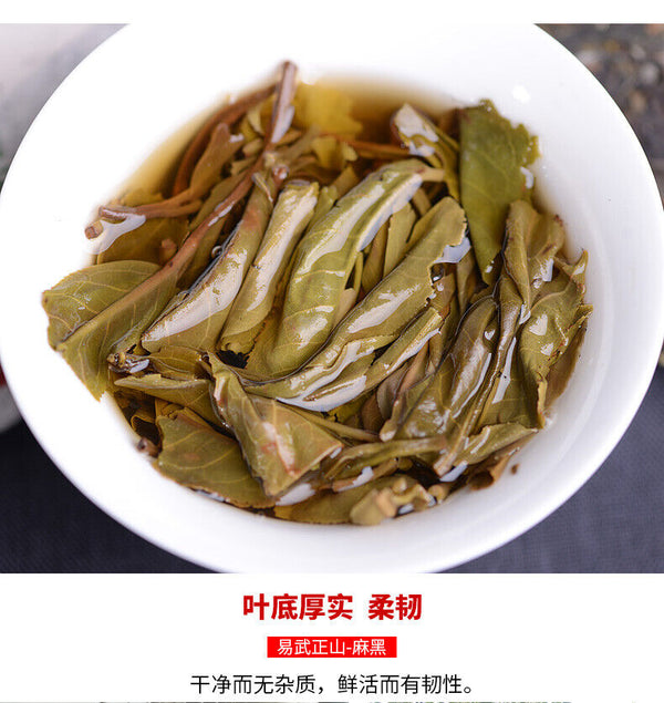 Haiwan Yi Wu Zheng Shan Ma Hei Famous Old Tree Shen Puer Tea Raw Pu'er 500g