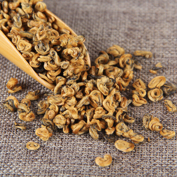 TeaPremium Golden Snail Dian Hong Jin Luo Handmade Pure Bud China Yunnan Black Tea