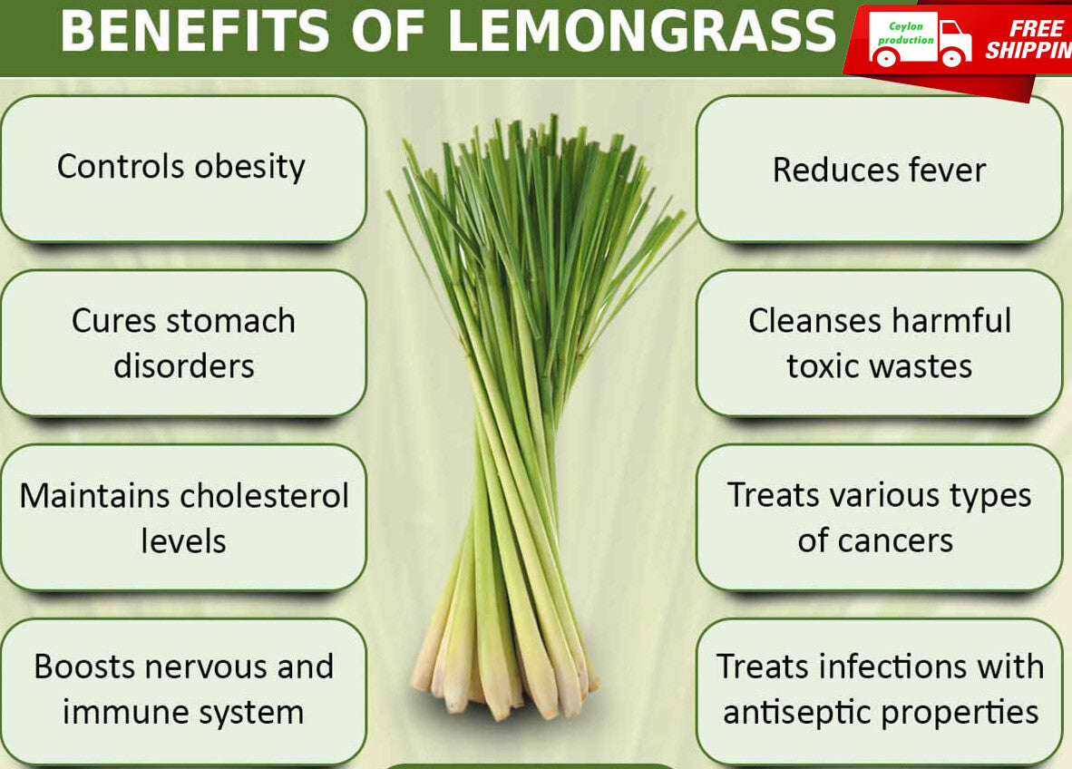 Pure Natural Organic for Enhance Flavor Dried Lemon Grass Leaves Ground Powder