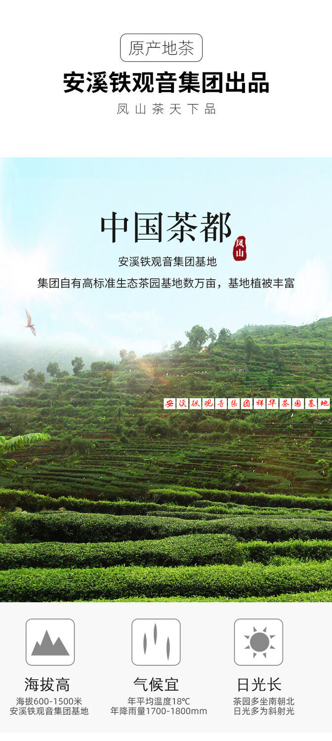 FENG SHAN Brand Qing Xiang Green Anxi Tie Guan Yin Chinese Oolong Tea 250g Tin