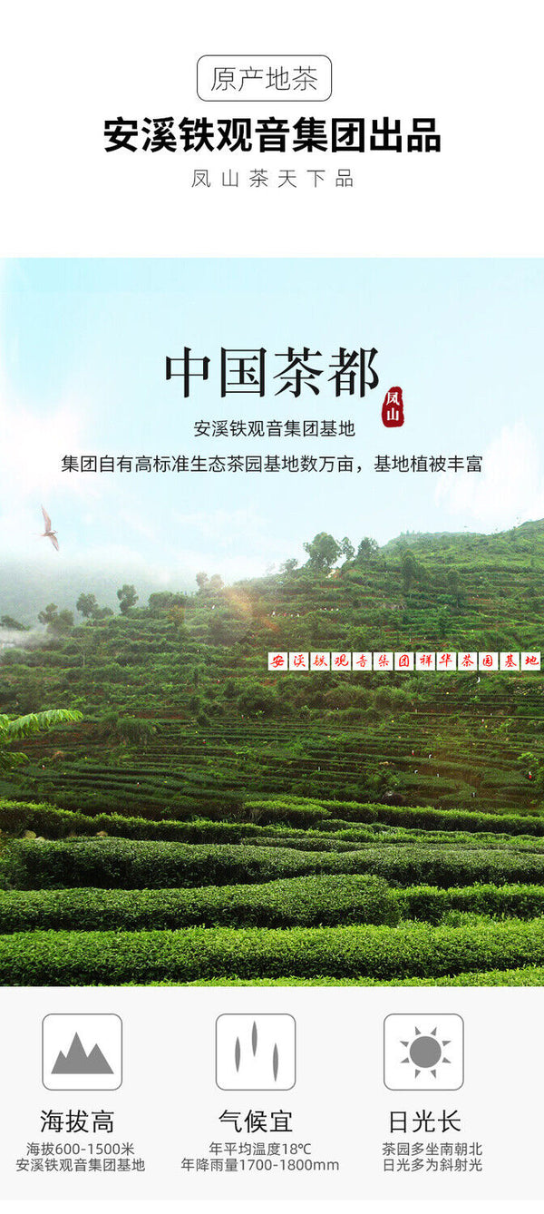 FENG SHAN Brand Qing Xiang Green Anxi Tie Guan Yin Chinese Oolong Tea 250g Tin
