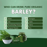 5 BOXES Pure Organic Barley Powdered Drink Mix - FREE SHIPPING
