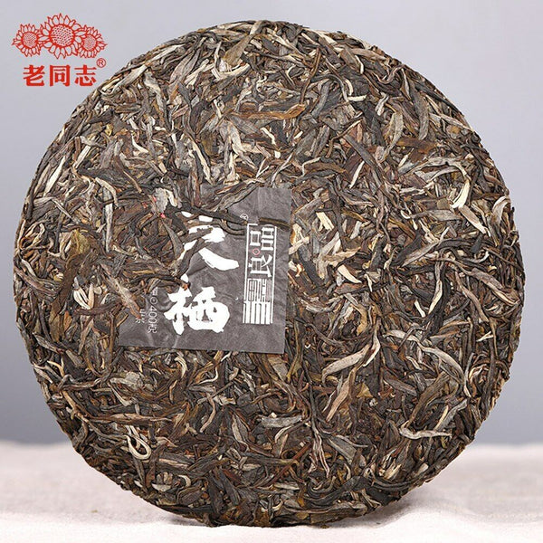 Haiwan The Gathering of Plant Spirit Raw Puer Excellent Shen Puerh Tea 400g