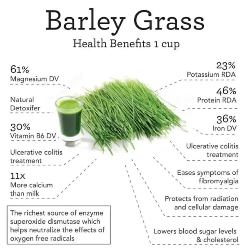 HELLOYOUNG Barley grass powder 100% Pure & Organic