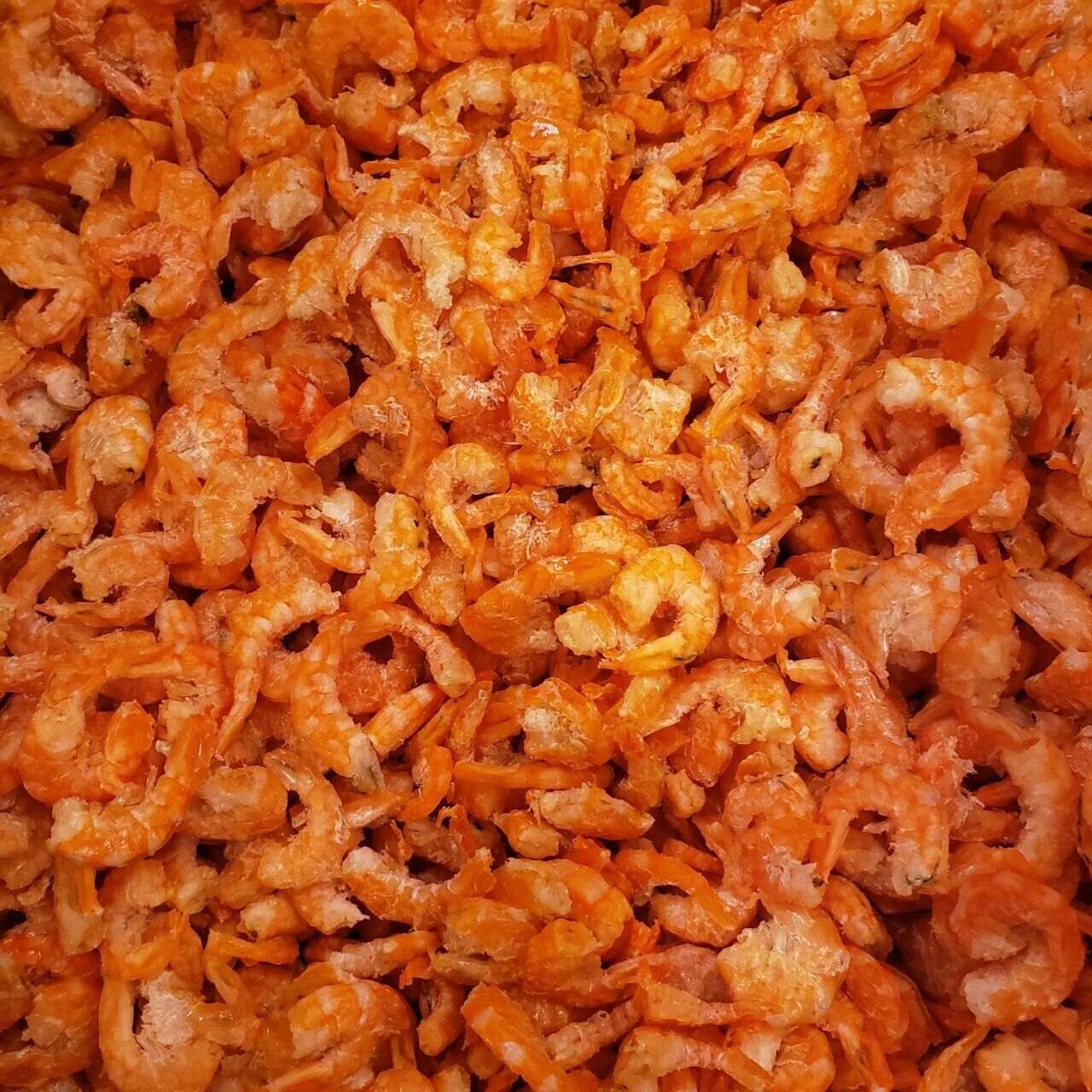 蝦米虾仁 Premium Small Dried Shrimp Seafood - 1LB. Delicious and Nutritious for Cook Main image