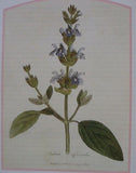 SAGE LEAF ORGANIC HERBAL TEA 100g Salvia officinalis dried herb