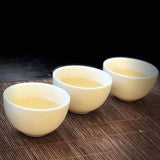 Fuding White Tea Year Silver Needle White Tea Cake Bai Hao Yin Zhen 300g