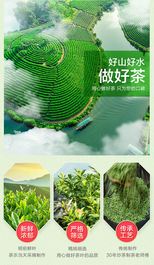 Ming Qian Biluochun Spring Organic Fresh Chinese Green Tea Chun Bi Luo 250g Tin