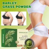 100Pcs Barley Grass Powder 100%Pure &Organic, Pure Organic Barley--