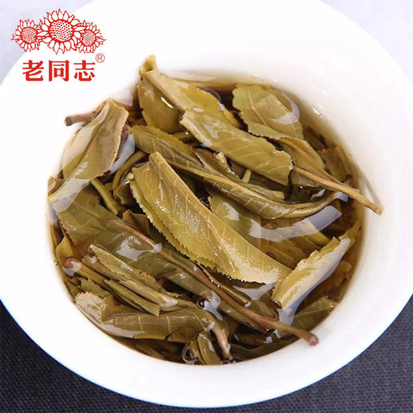 Haiwan Batch 181 Shen Shan Lao Shu Premium Raw Pu-erh Tea Cake 500g