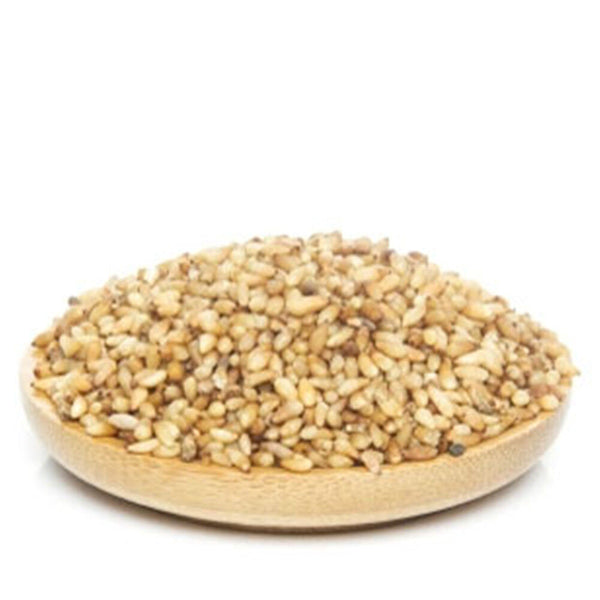 Medicinal Chinese Herb Bai Zi Ren Semen Biotae Orientalis 100% Natural