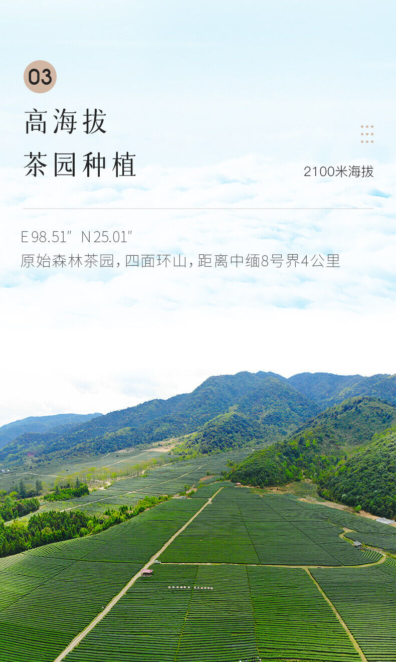 Light Fragrance Type Yunnan Oolong Tea Jibian High Mountain Tea 250g Tin 2100m