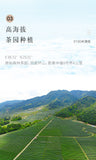 Light Fragrance Type Yunnan Oolong Tea Jibian High Mountain Tea 250g Tin 2100m