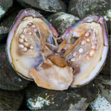 Super Fine Pearl Powder Face Mask 500g 100% Pure Natural Freshwater Pearl Powder