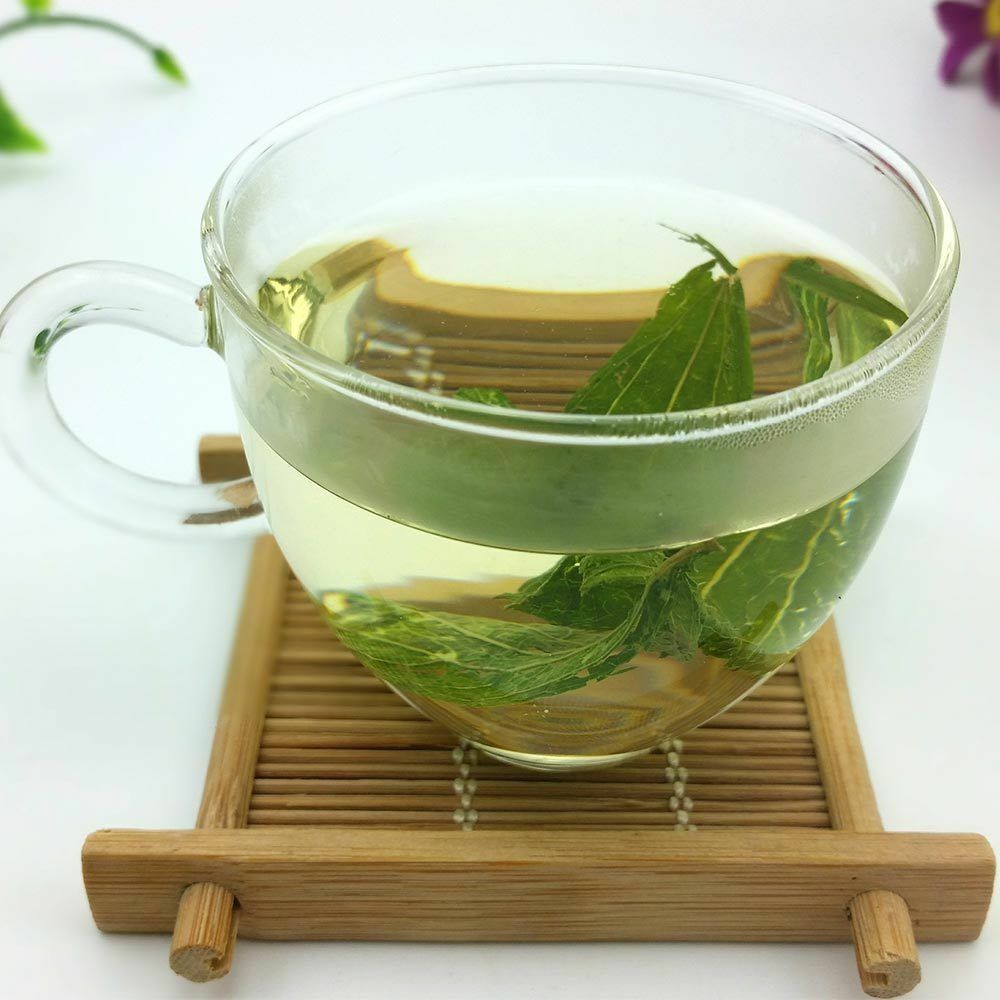 Stevia Leaf Herbal Tea, Good for Weight Loss and Control Blood Pressure