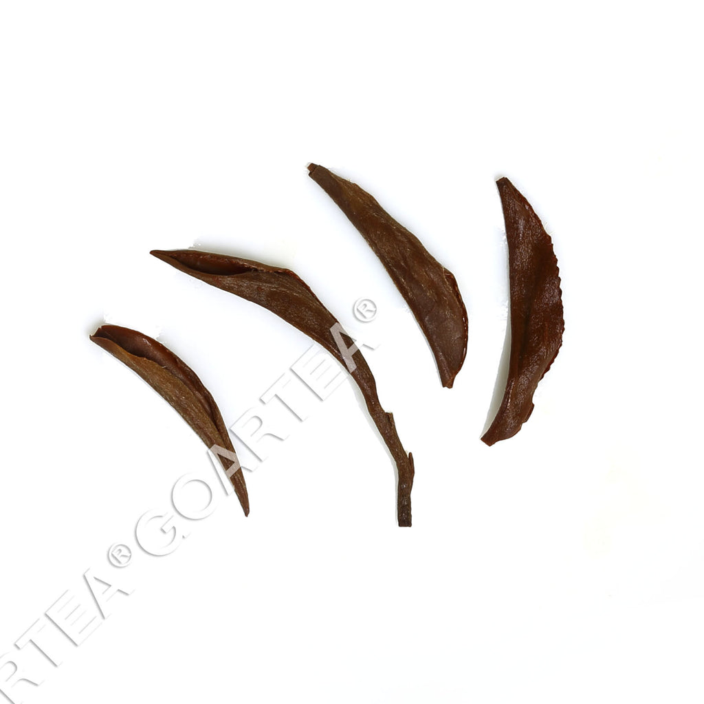 TeaHELLOYOUNG Supreme Wuyi Jinjunmei Eyebrow Black Tea Loose Leaf Golden-Buds