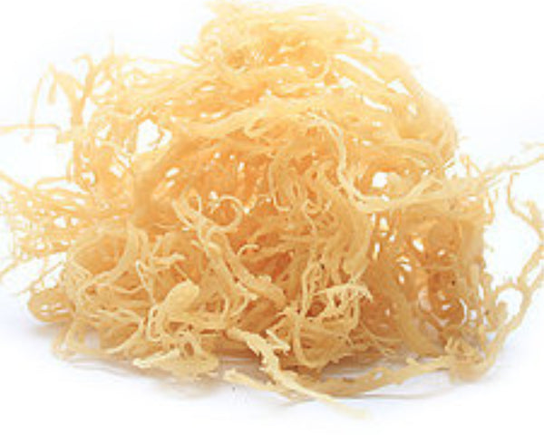 Organic Whole Leaf Irish Moss Sea Moss 8.8 Oz | Raw WildCrafted Superfood