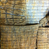 DU ZHONG CORTEX EUCOMMIAE EUCOMMIA BARK HARDY TREE 1 LB