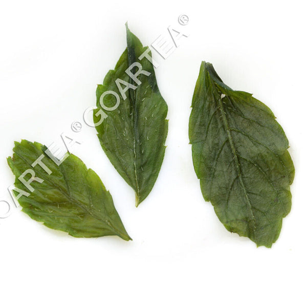 HELLOYOUNG 250g Supreme 7Leaf Jiaogulan Gynostemma Pentaphyllum Tea Herbal Green