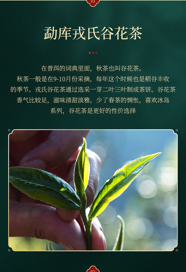 Valley Flowers * Mengku Rongshi Gu Hua Xiang Autumn Puer Pu'er Tea Raw 200g