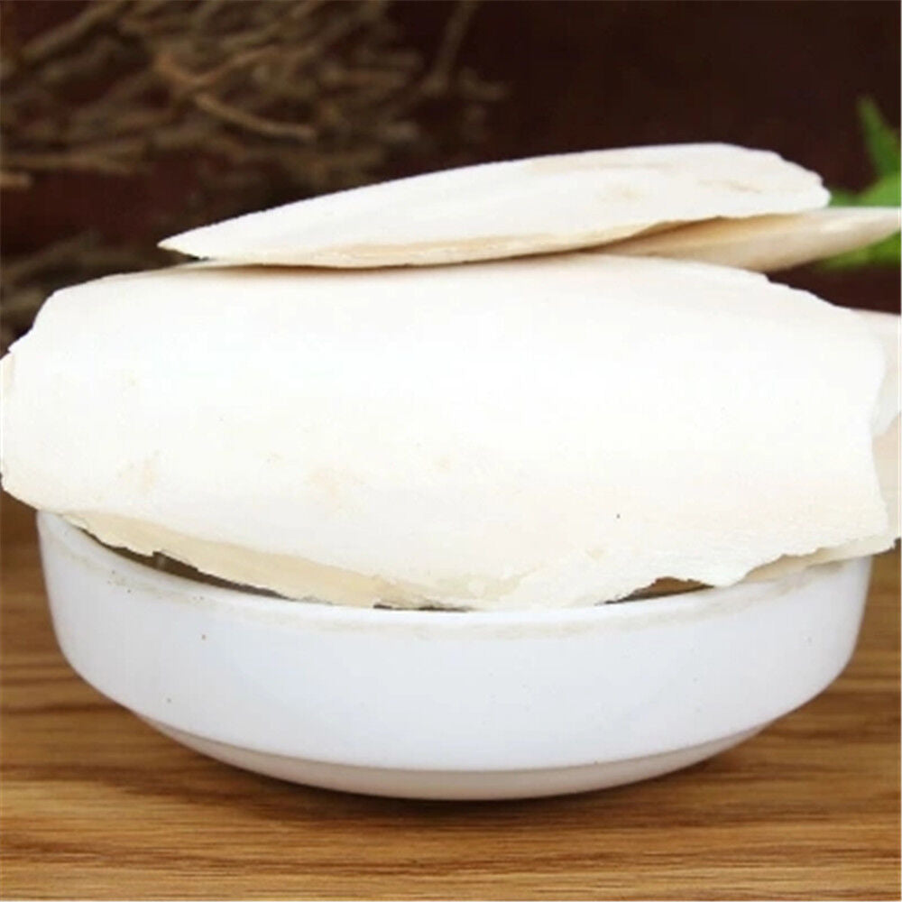 Cuttlebone Cuttlefish Brown Bone Cutting Fish Bird Food Calcium Pickstone