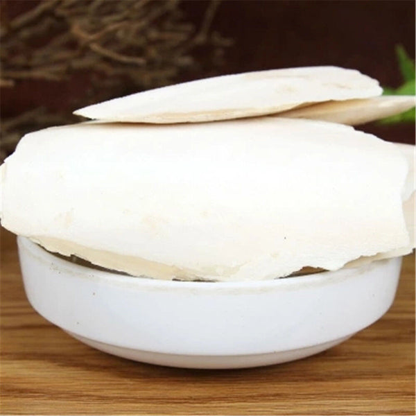 Cuttlebone Cuttlefish Brown Bone Cutting Fish Bird Food Calcium Pickstone