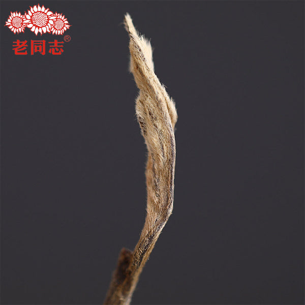 Haiwan Chinese Tea 9968 Batch 181 Shen Puer Tea Brick 250g