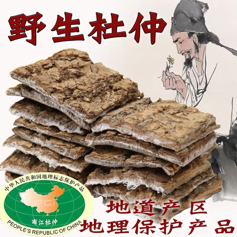 杜仲皮炒杜仲 仲厚皮杜仲扯丝皮 Eucommia Ulmoides 250g Natural Health Herbal Tea HOT Main image