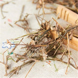 100% Organic Dried Herba Oldenlandia Diffusa Hedyotis White Chinese Cao