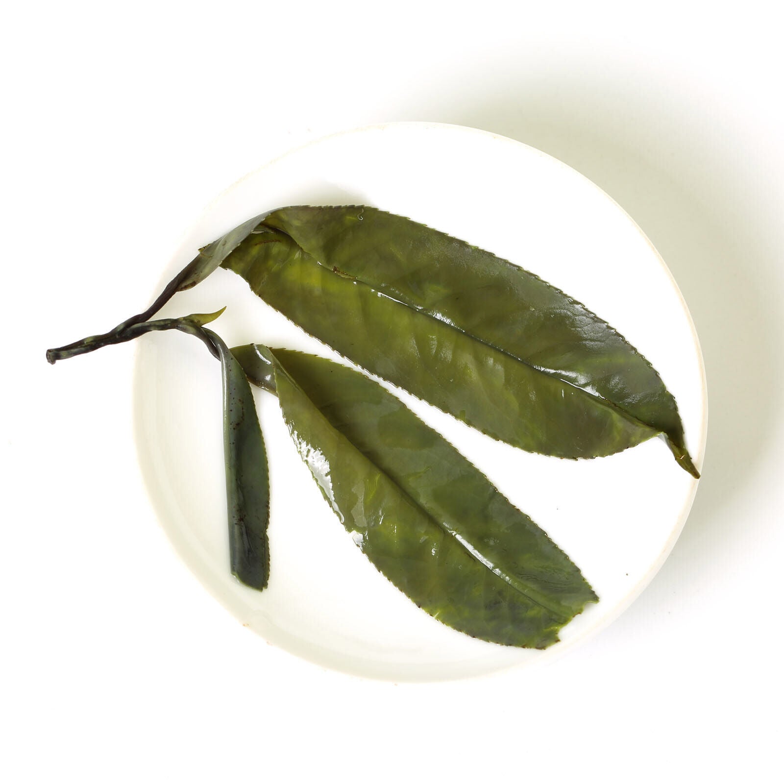 HELLOYOUNG Premium Needle Kuding Bitter Herbal Green Tea Chinese Spike Largeleaf