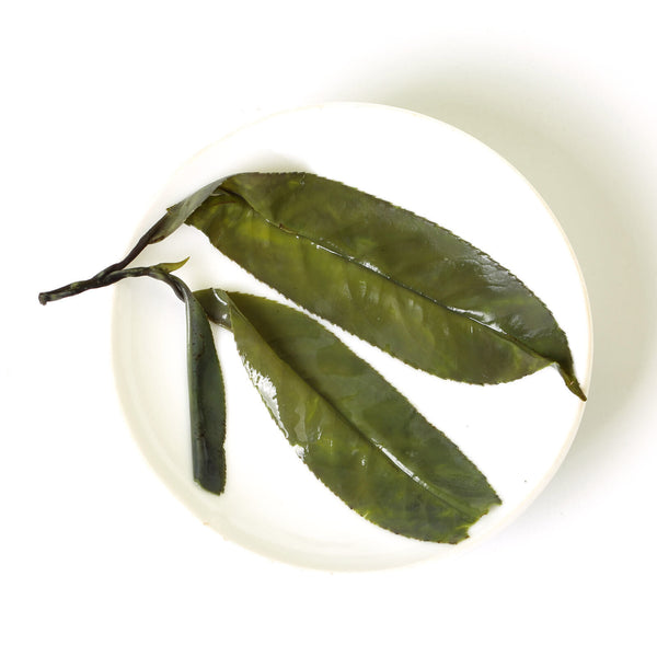 HELLOYOUNG Premium Needle Kuding Bitter Herbal Green Tea Chinese Spike Largeleaf