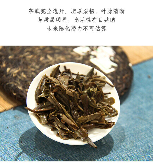 Spring Charm of Jingmai Mountain Pu-erh Pu'er Tea Raw Tea Qizi Cake 200g